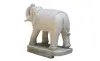 Product image 3 of the product “Indian elephant approx.100cm length, head facing left and left foot forward ”